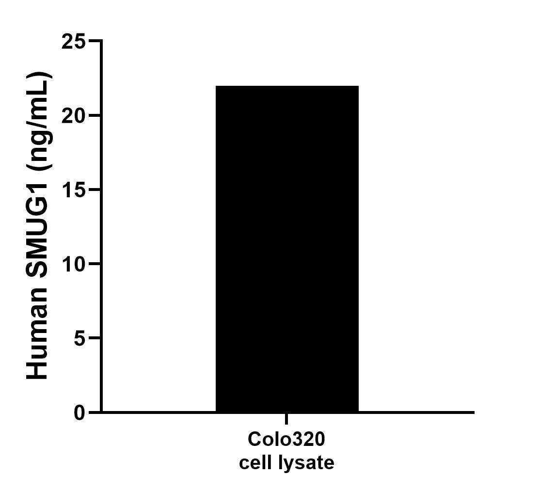 Colo320 cell lysate was measured. The human SMUG1 concentration of detected samples was determined to be 21.98 ng/mL (based on a 2.0 mg/mL extract load).